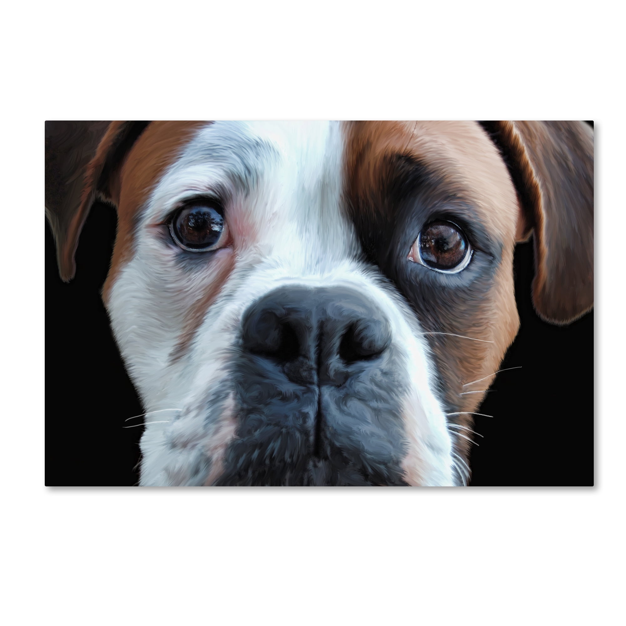 Trademark Fine Art 'Boxer' Canvas Art by Lori Hutchison