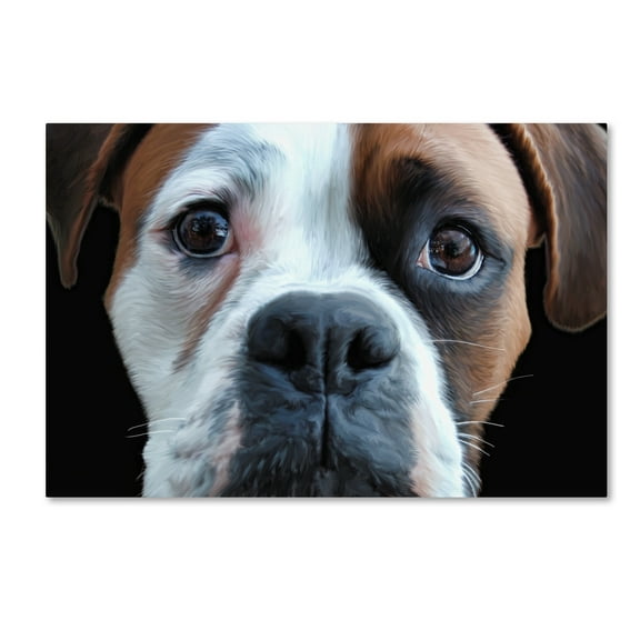 Trademark Fine Art 'Boxer' Canvas Art by Lori Hutchison