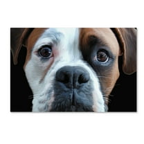 Trademark Fine Art 'Boxer' Canvas Art by Lori Hutchison