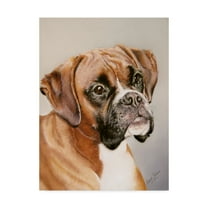 Trademark Fine Art 'Boxer Gray' Canvas Art by Janet Pidoux