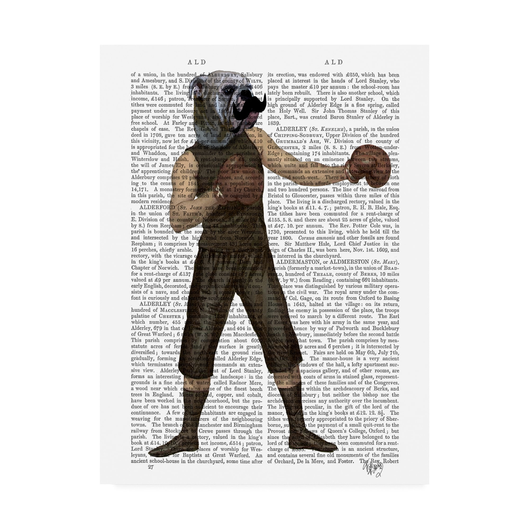 Trademark Fine Art 'Boxing Bulldog, Full' Canvas Art by Fab Funky