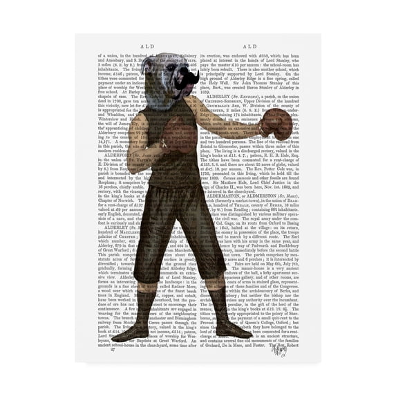 Trademark Fine Art 'Boxing Bulldog, Full' Canvas Art by Fab Funky