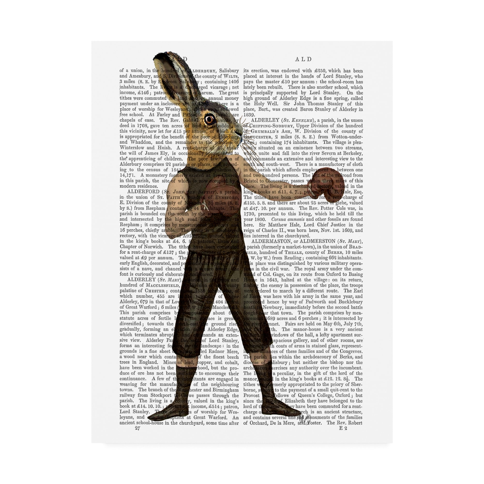 Trademark Fine Art 'Boxing Hare Gloves' Canvas Art by Fab Funky