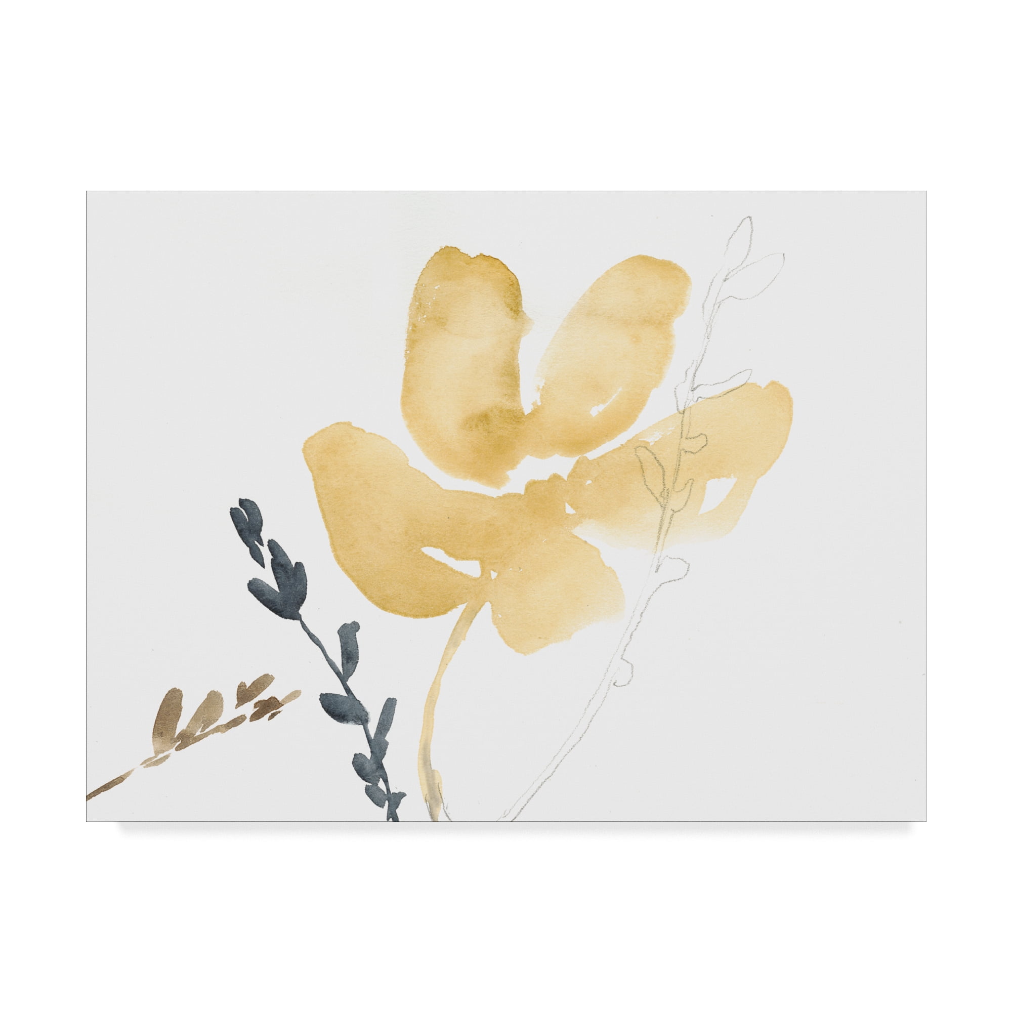 Trademark Fine Art 'Branch Contours III' Canvas Art by Jennifer Goldberger