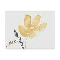 Trademark Fine Art 'Branch Contours III' Canvas Art by Jennifer Goldberger