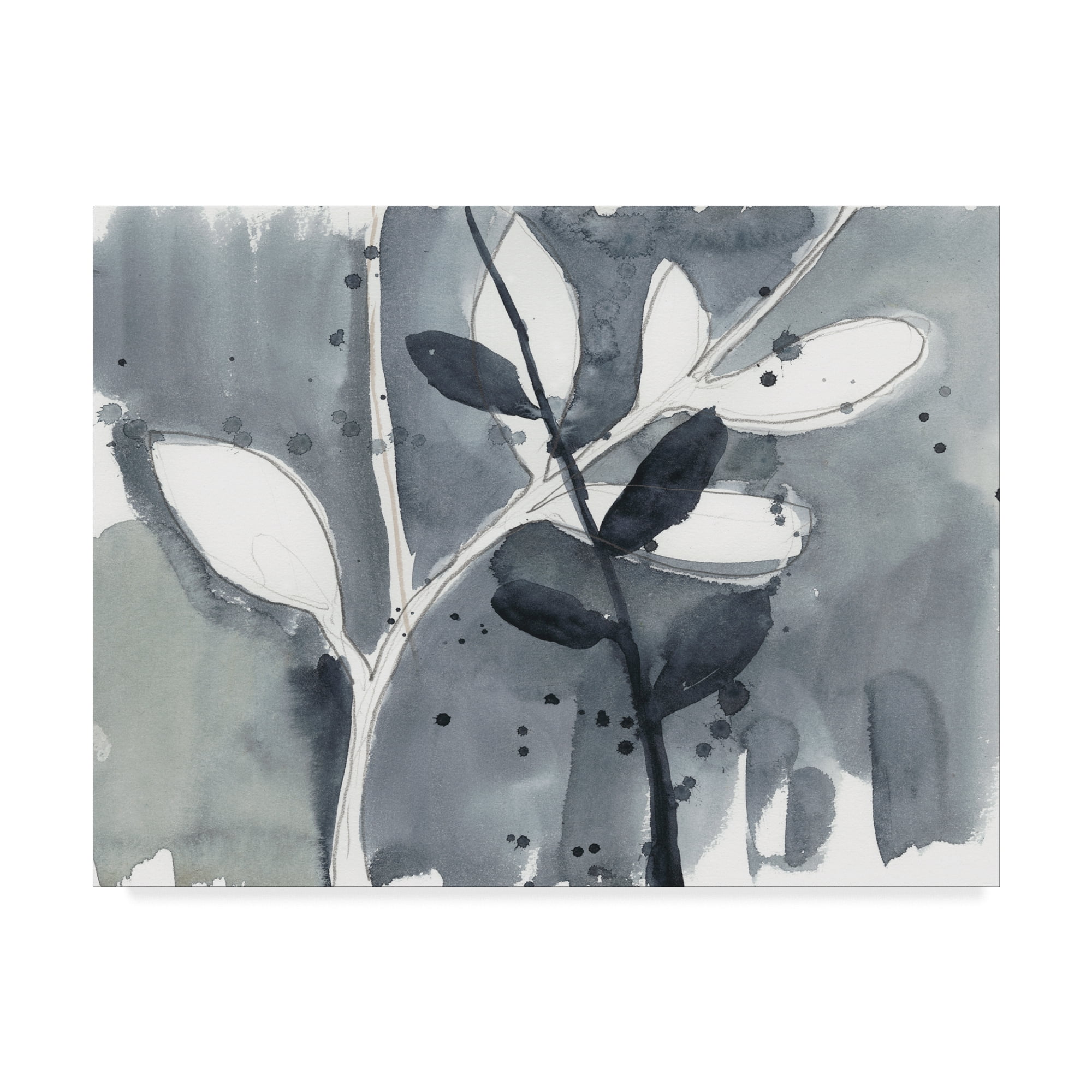 Trademark Fine Art 'Branch Contours IX' Canvas Art by Jennifer Goldberger