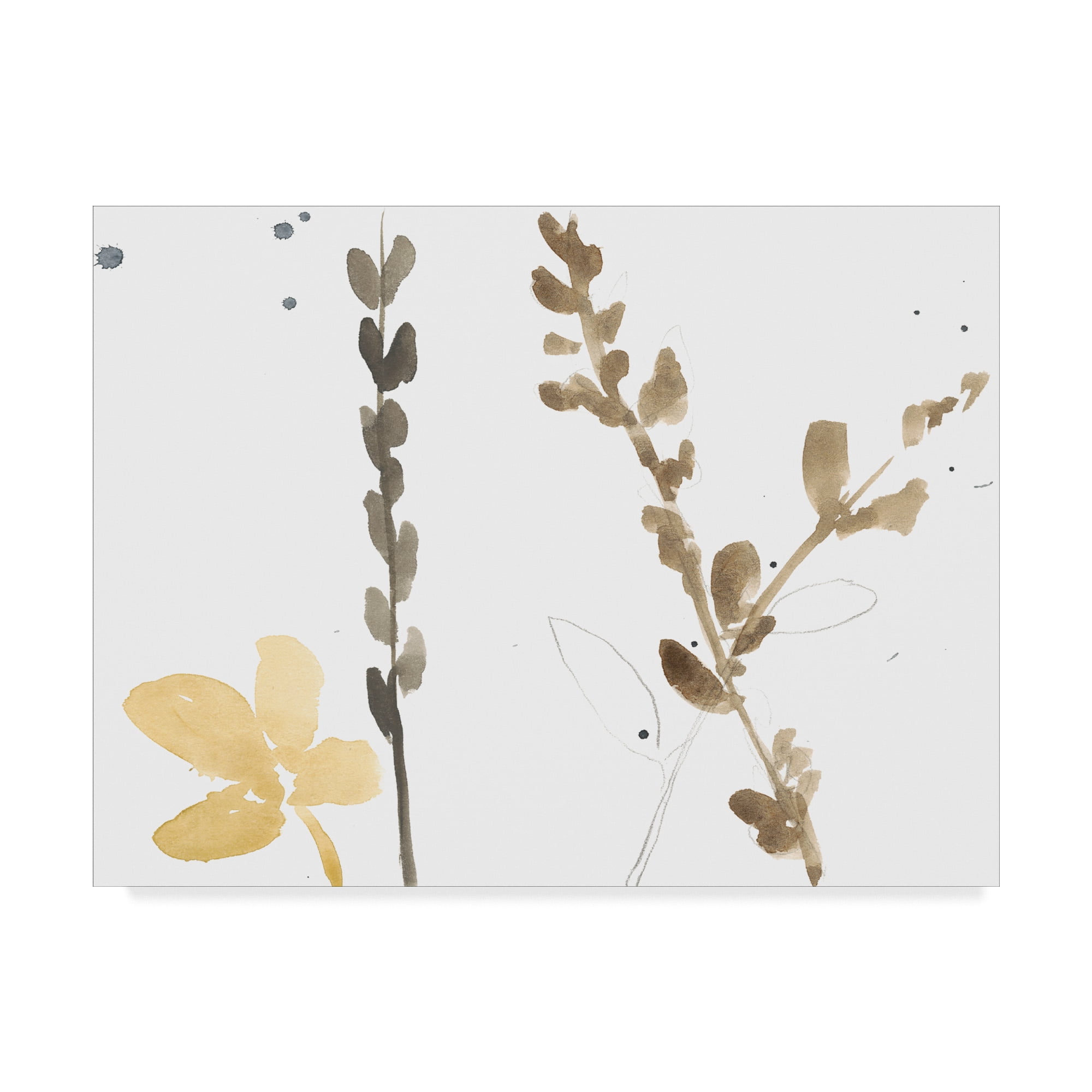 Trademark Fine Art 'Branch Contours VIII' Canvas Art by Jennifer Goldberger