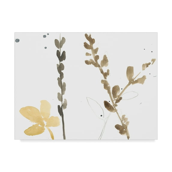 Trademark Fine Art 'Branch Contours VIII' Canvas Art by Jennifer Goldberger