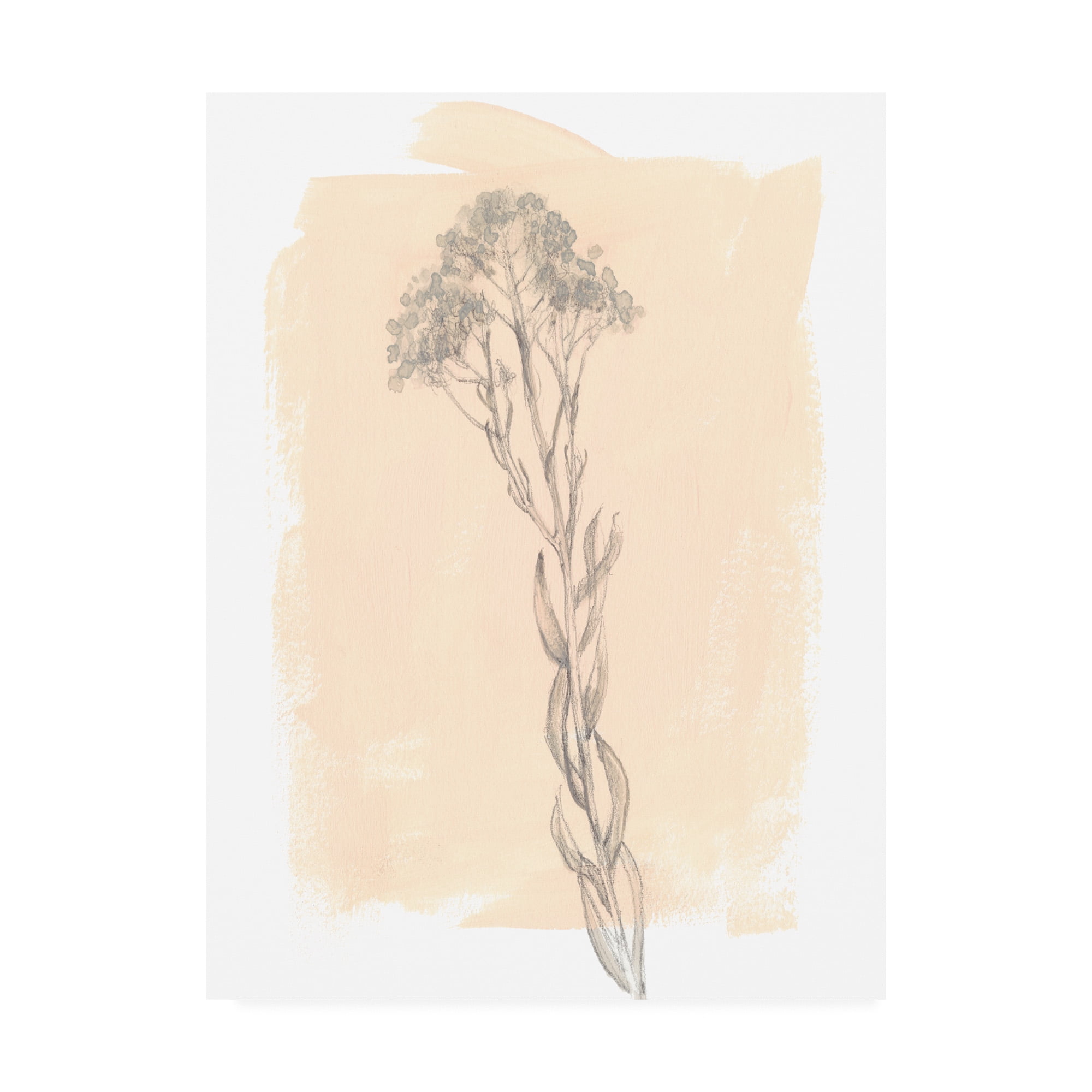 Trademark Fine Art 'Branch on Blush I' Canvas Art by Jennifer Goldberger