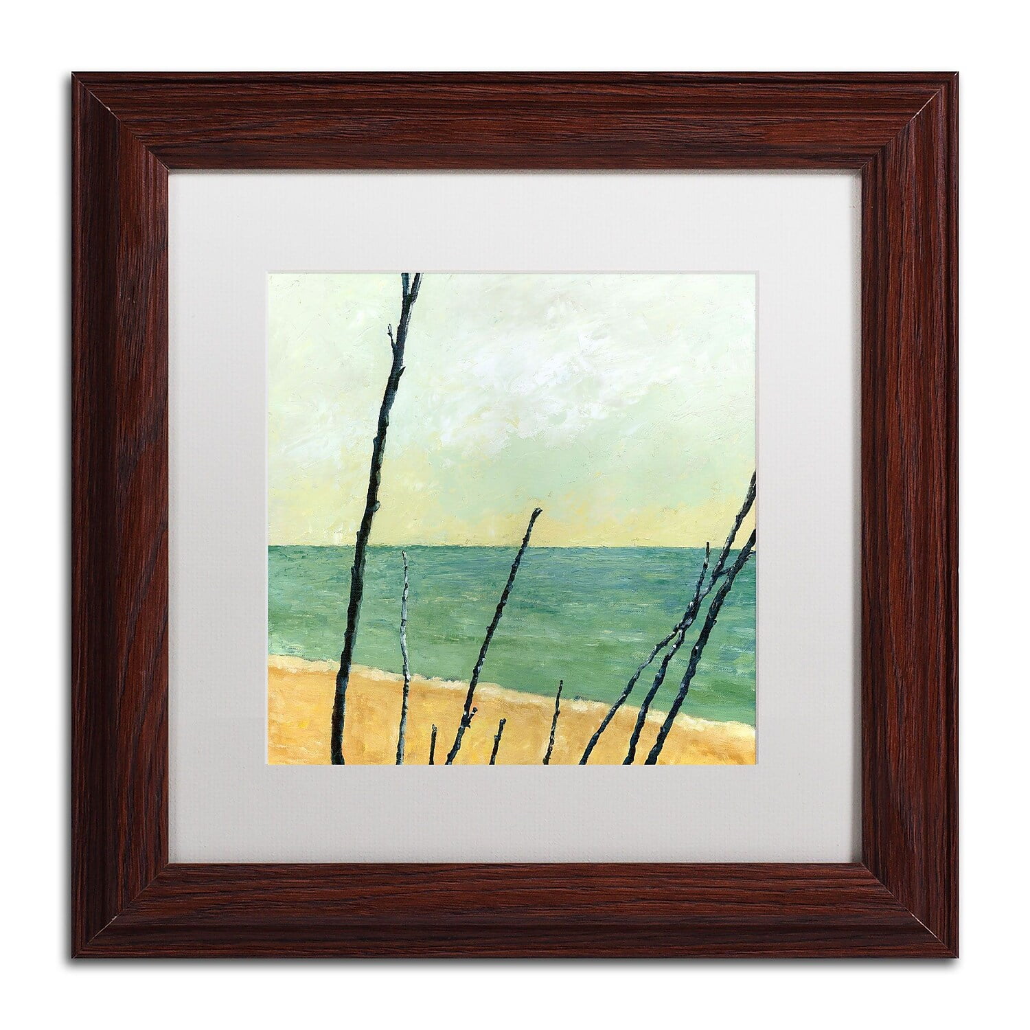 Trademark Fine Art "Branches on the Beach" Canvas Art by Michelle Calkins, White Matte, Wood Frame
