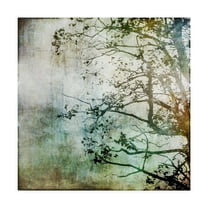 Trademark Fine Art 'Branching Out Tree' Canvas Art by Christine O’Brien