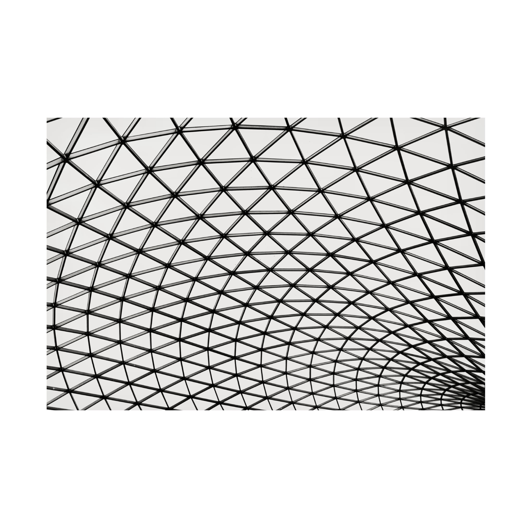 Trademark Fine Art Branko Markovic Web Canvas Wall Art