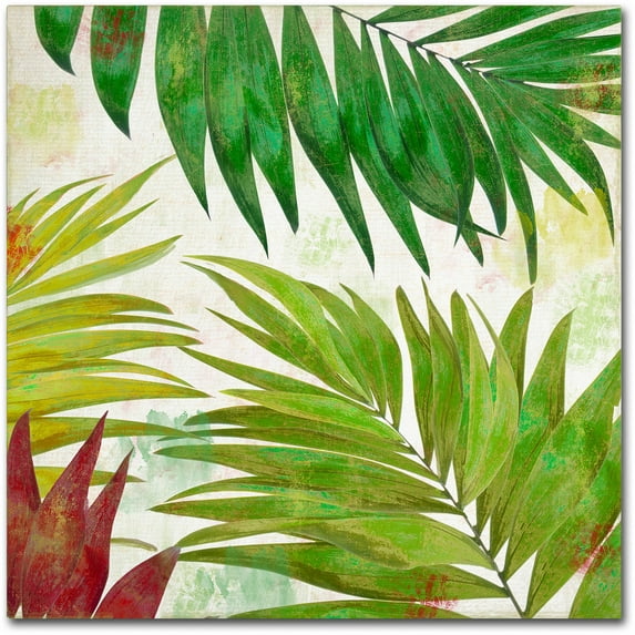 Trademark Fine Art "Brasilia I" Canvas Art by Color Bakery