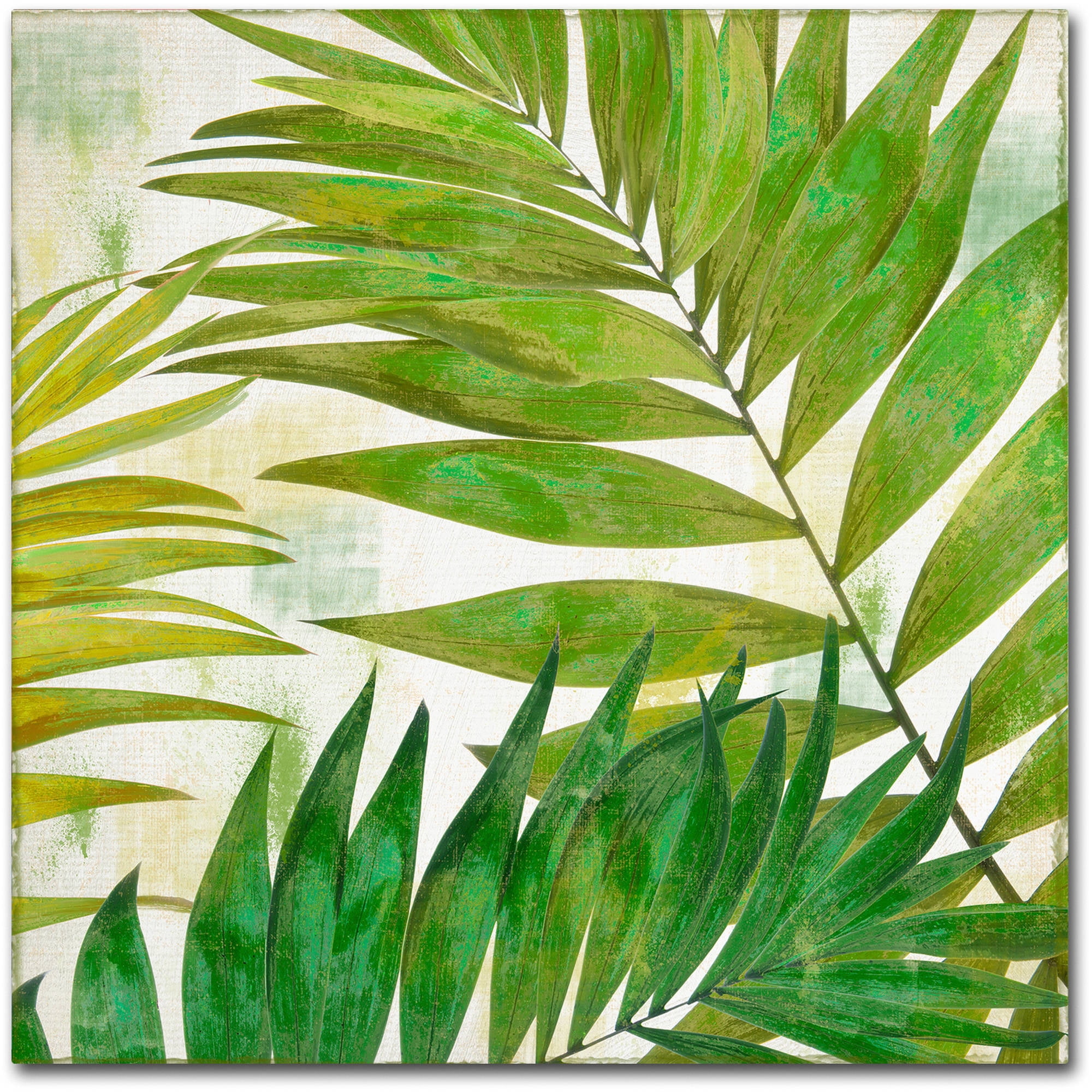 Brasilia II Green Palm Leaves Canvas Art, 35x47 Inches