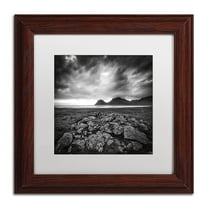 Trademark Fine Art 'Break the Law' Canvas Art by Philippe Sainte-Laudy, White Matte, Wood Frame