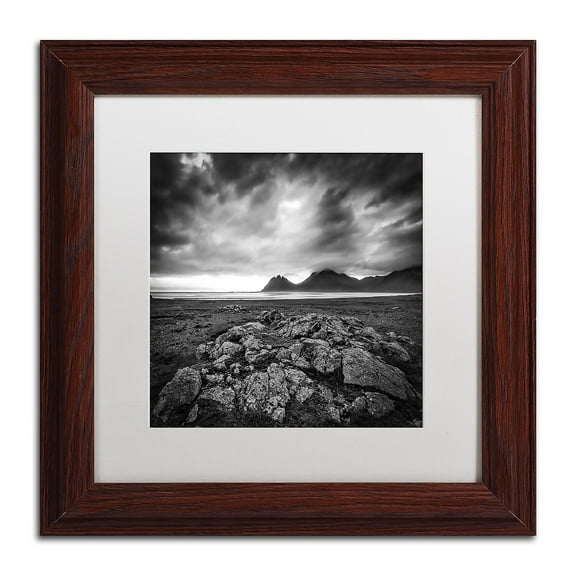 Trademark Fine Art 'Break the Law' Canvas Art by Philippe Sainte-Laudy, White Matte, Wood Frame