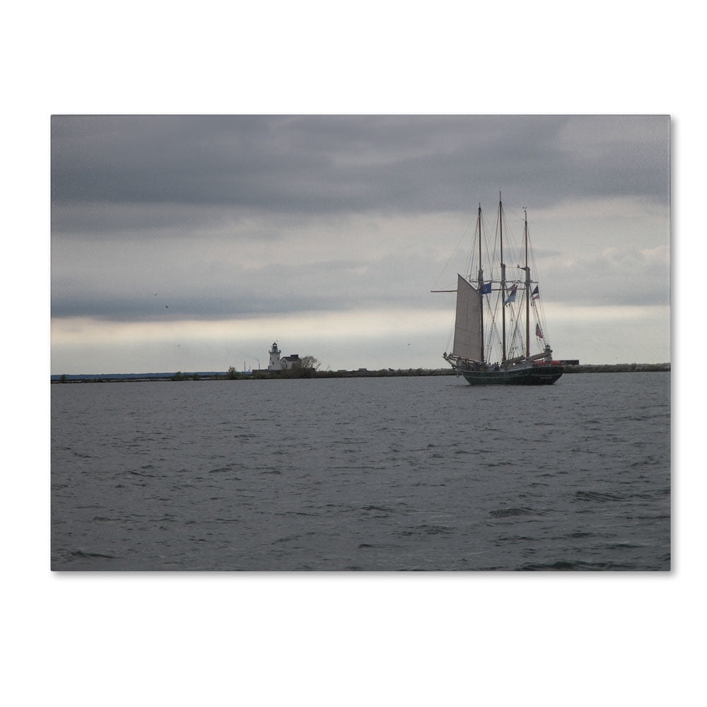 Trademark Fine Art "Breaking Boundary" Canvas Art by Monica Fleet
