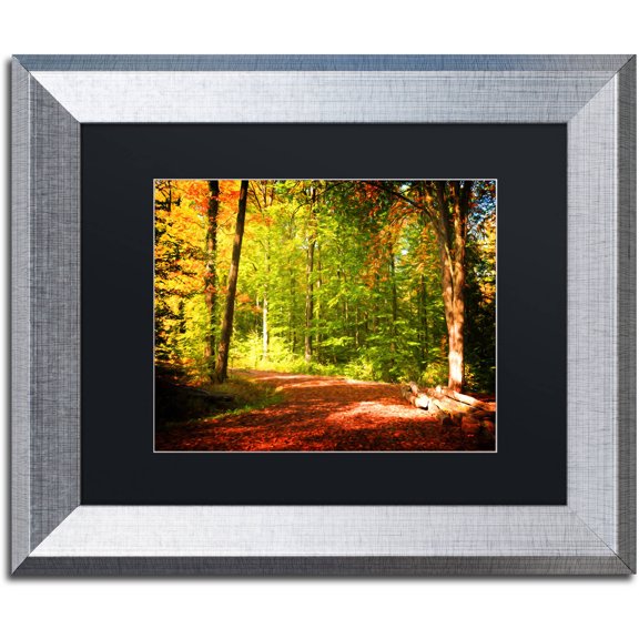 Trademark Fine Art "Breaking The Fall Silence" Canvas Art by Philippe Sainte-Laudy Black Matte, Silver Frame