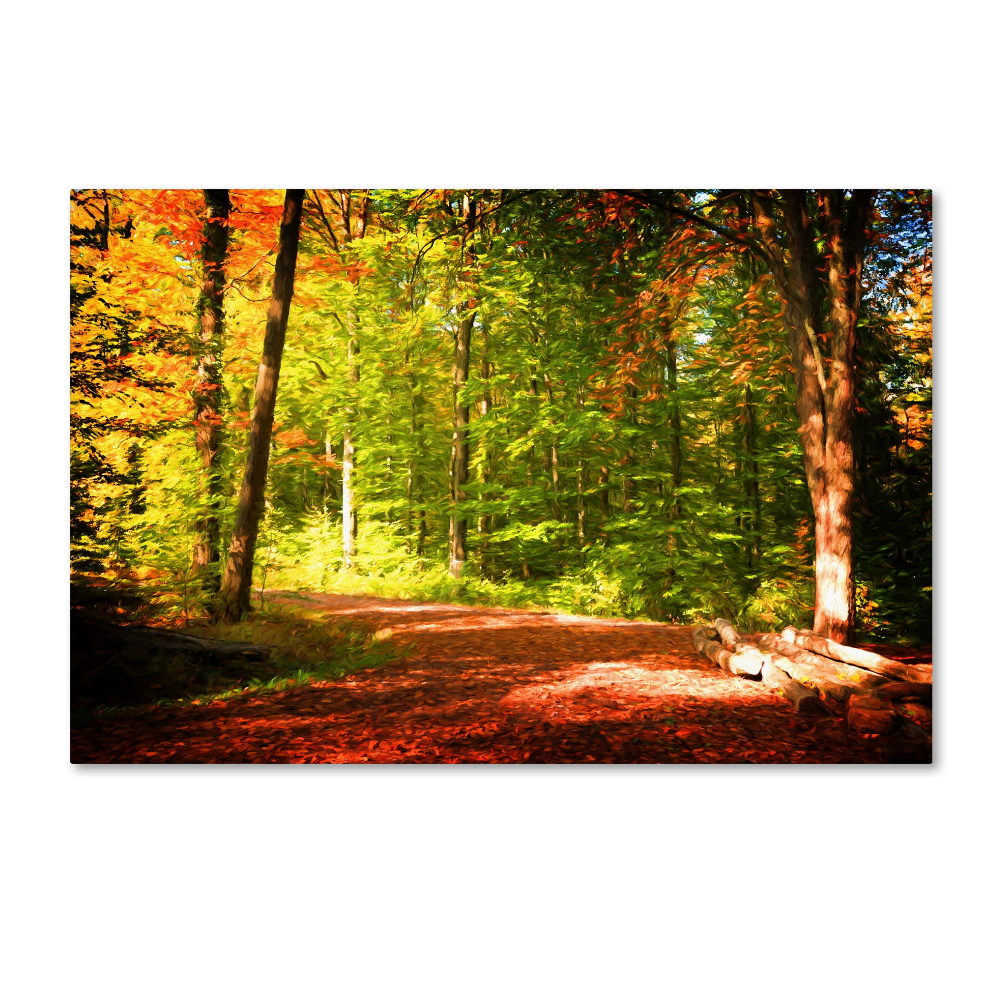 Trademark Fine Art "Breaking The Fall Silence" Canvas Art by Philippe Sainte-Laudy