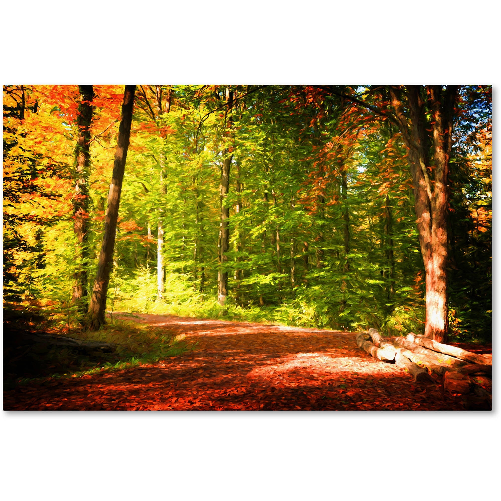 Trademark Fine Art "Breaking The Fall Silence" Canvas Art by Philippe Sainte-Laudy