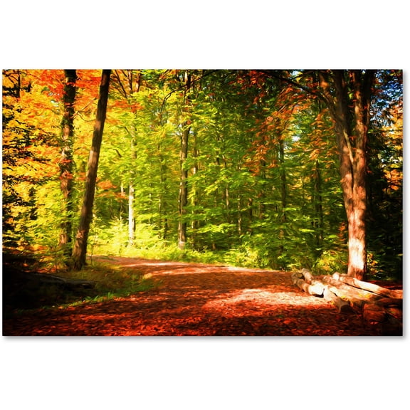 Trademark Fine Art "Breaking The Fall Silence" Canvas Art by Philippe Sainte-Laudy