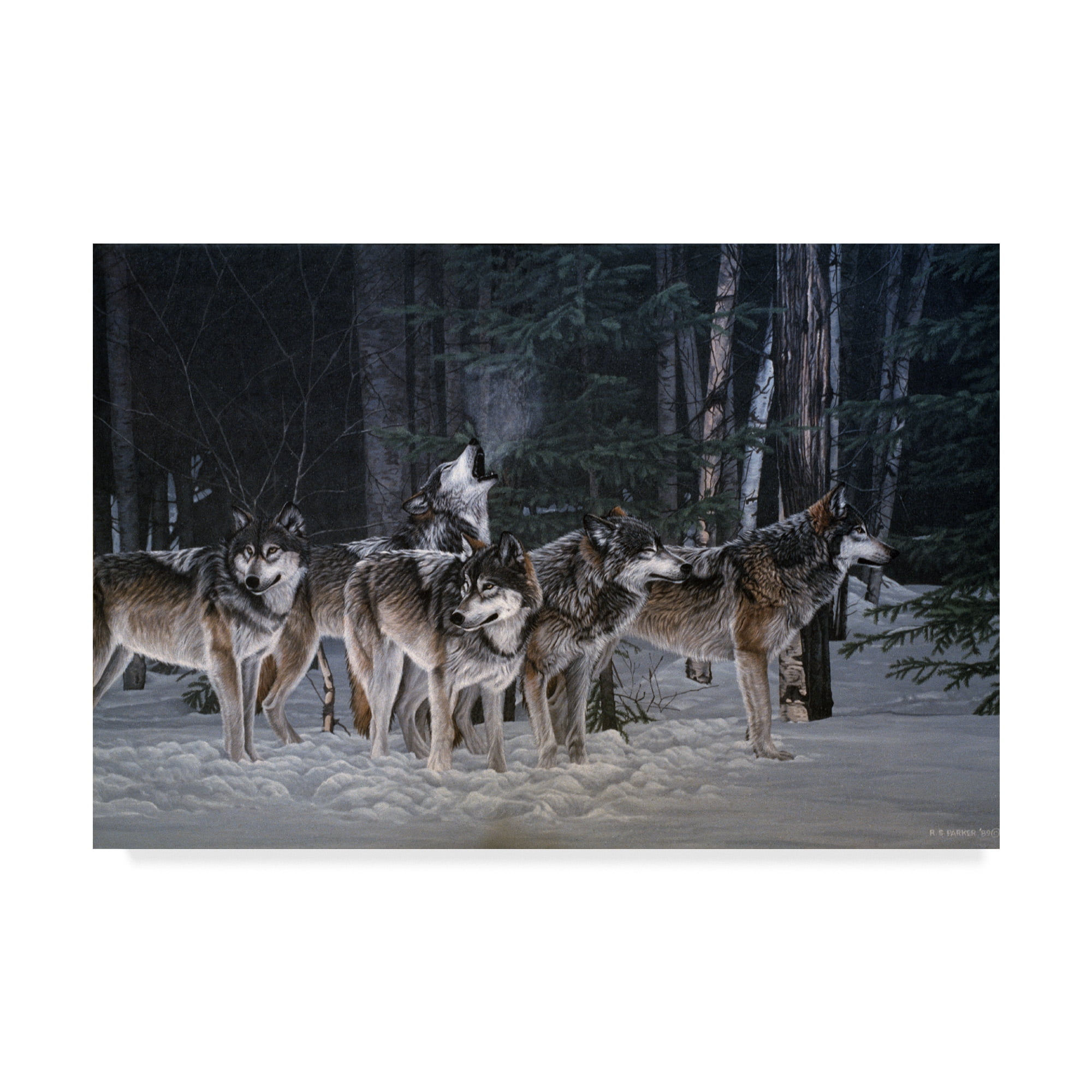 Trademark Fine Art 'Breaking The Silence Wolves' Canvas Art by Ron Parker