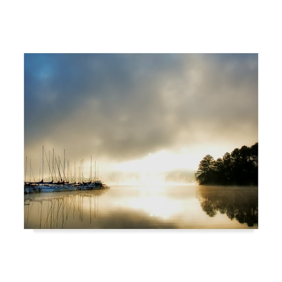 Trademark Fine Art 'Breaking Through I' Canvas Art by Danny Head