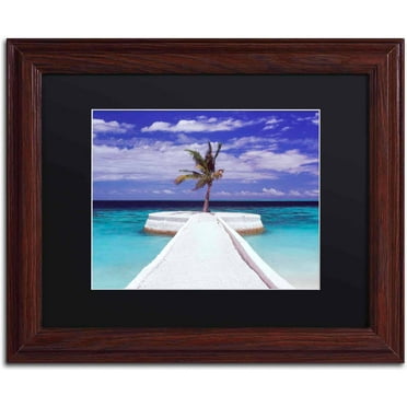 Trademark Fine Art "Breakwater Jumeirah Vittaveli" Canvas Art by David Evans, Black Matte, Wood Frame