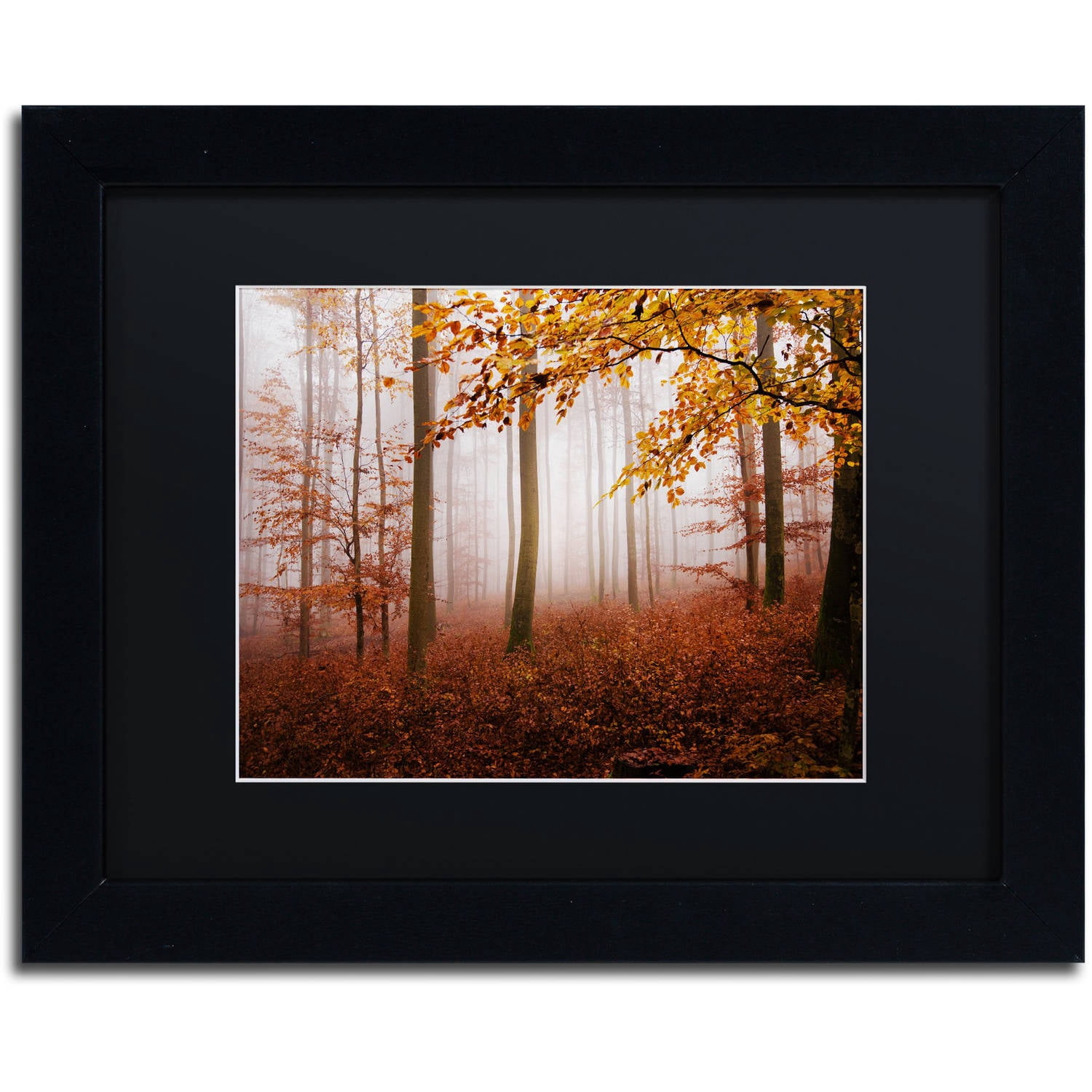 Trademark Fine Art "Breathe Me" Canvas Art by Philippe Sainte-Laudy Black Matte, Black Frame