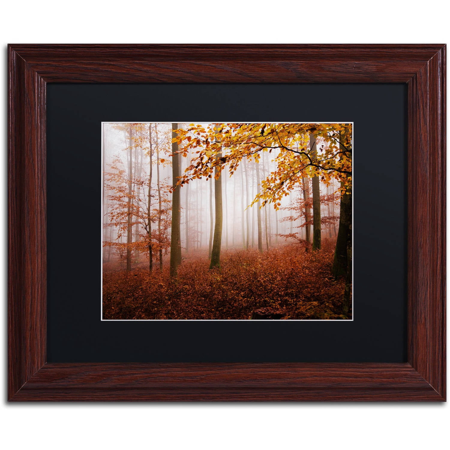 Trademark Fine Art "Breathe Me" Canvas Art by Philippe Sainte-Laudy Black Matte, Wood Frame