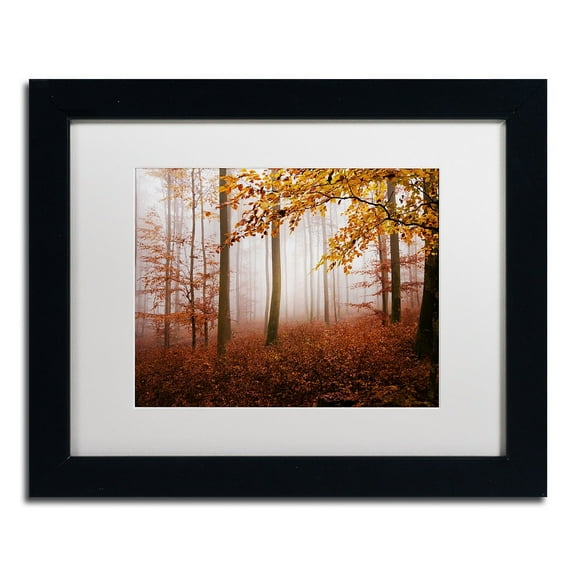 Trademark Fine Art "Breathe Me" Canvas Art by Philippe Sainte-Laudy White Matte, Black Frame