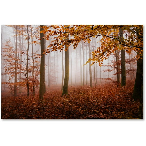 Trademark Fine Art "Breathe Me" Canvas Art by Philippe Sainte-Laudy