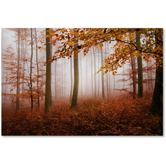 Trademark Fine Art "Breathe Me" Canvas Art by Philippe Sainte-Laudy