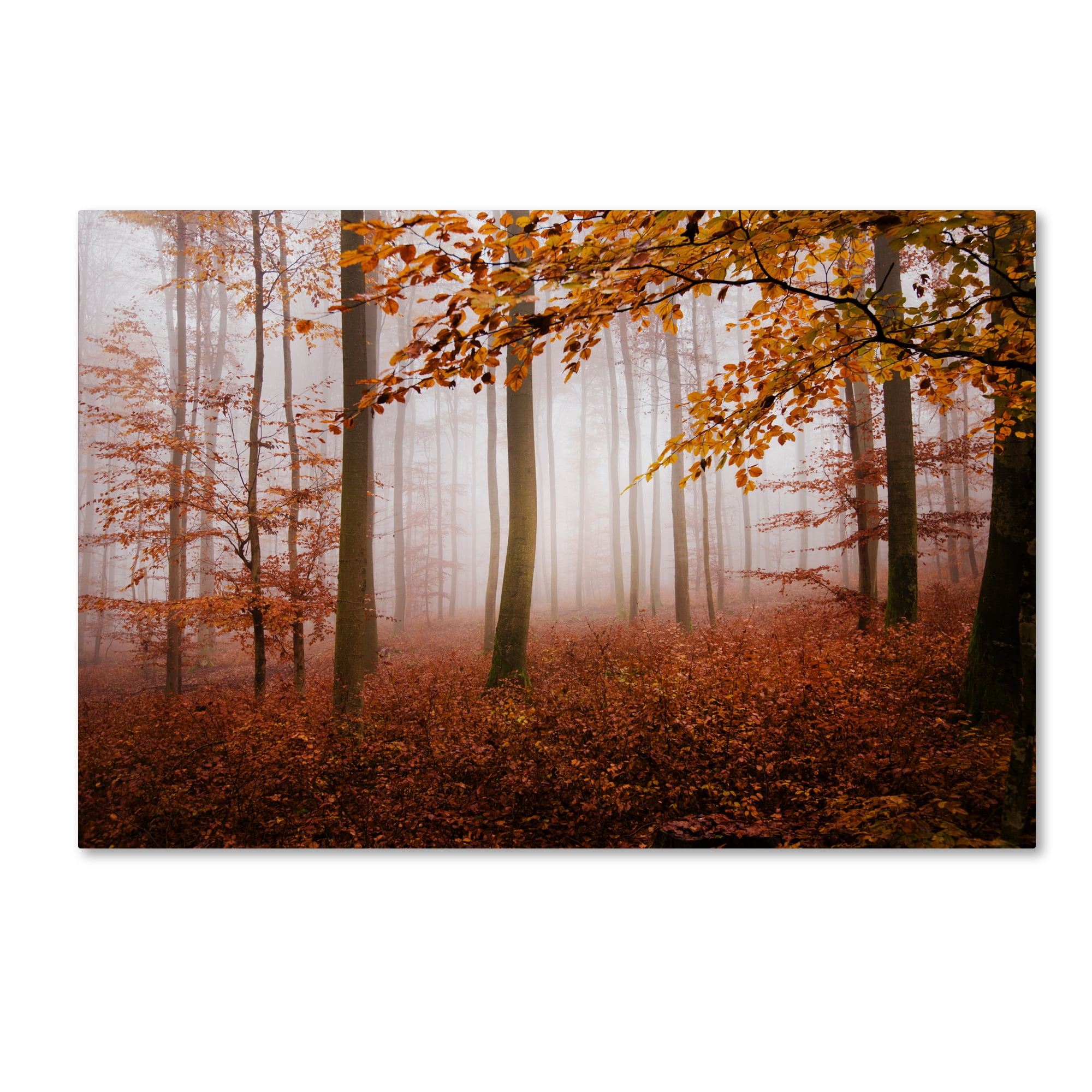 Trademark Fine Art "Breathe Me" Canvas Art by Philippe Sainte-Laudy
