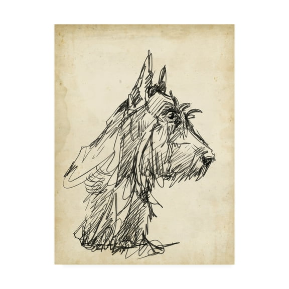 Trademark Fine Art 'Breed Studies I' Canvas Art by Ethan Harper