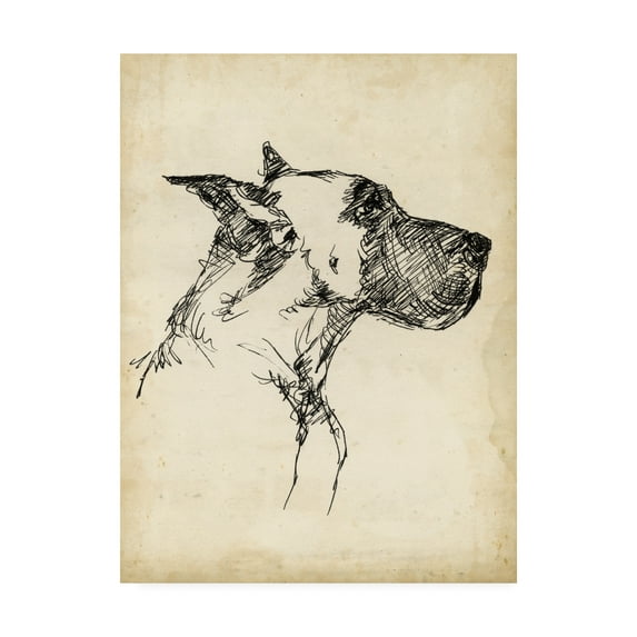 Trademark Fine Art 'Breed Studies IV' Canvas Art by Ethan Harper