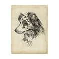 thumbnail image 1 of Trademark Fine Art 'Breed Studies XI' Canvas Art by Ethan Harper, 1 of 3
