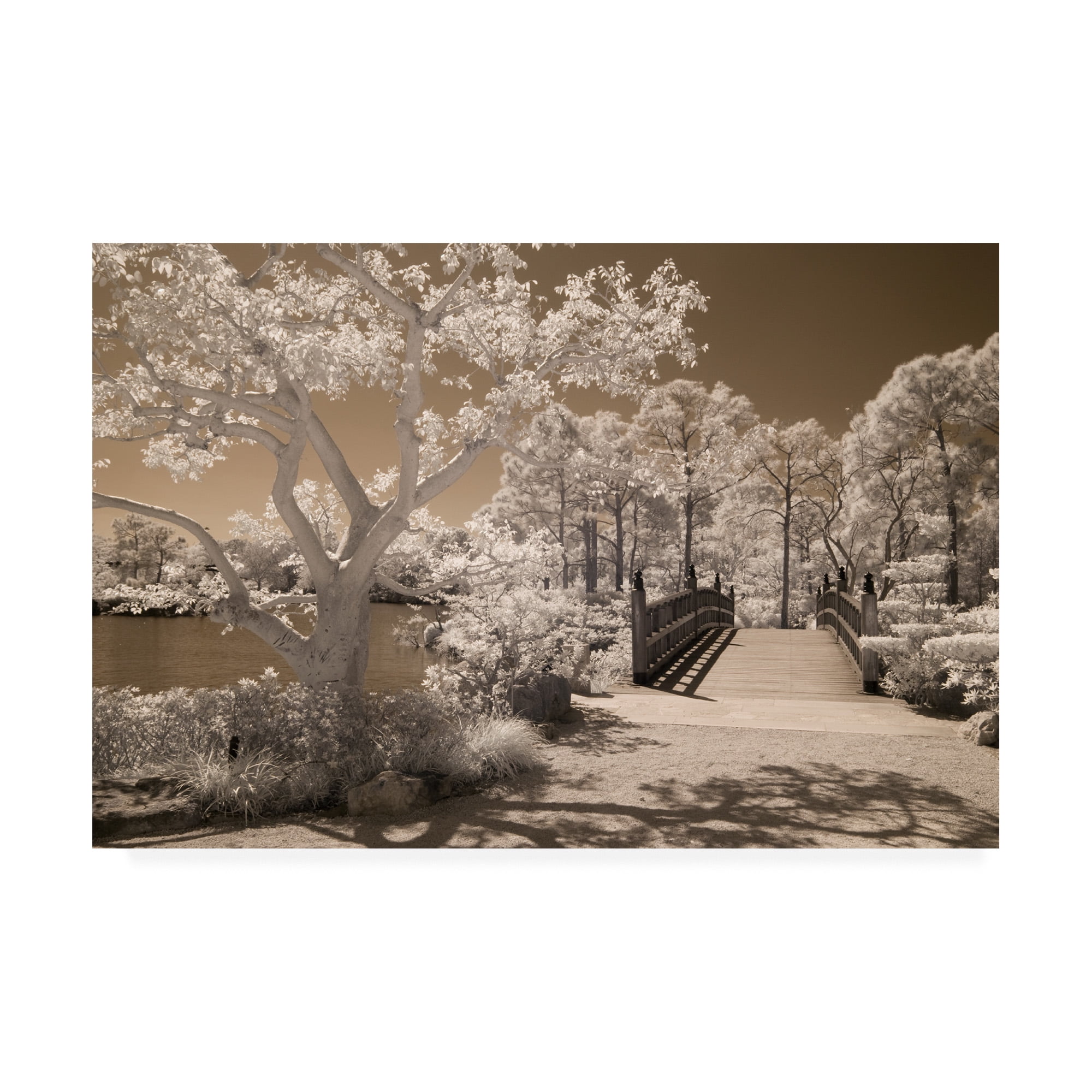 Trademark Fine Art 'Bridge And Trees At Japanese Gardens Delray Beach Florida' Canvas Art by Monte Nagler