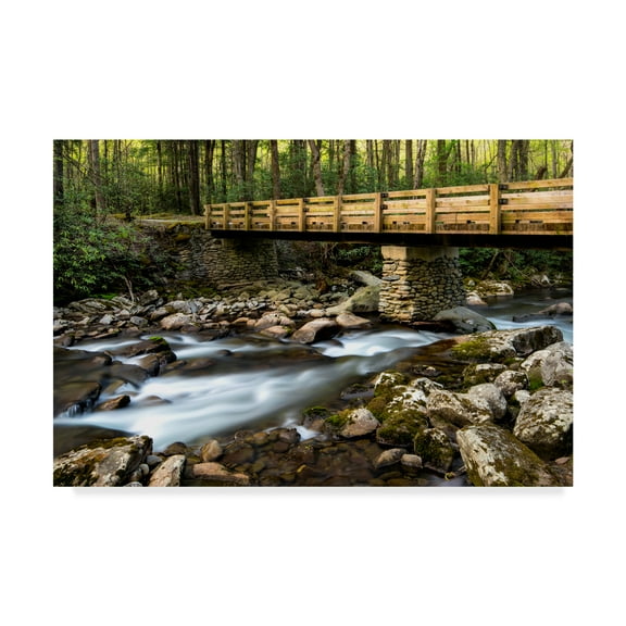 Trademark Fine Art 'Bridge and Cascade I' Canvas Art by Danny Head