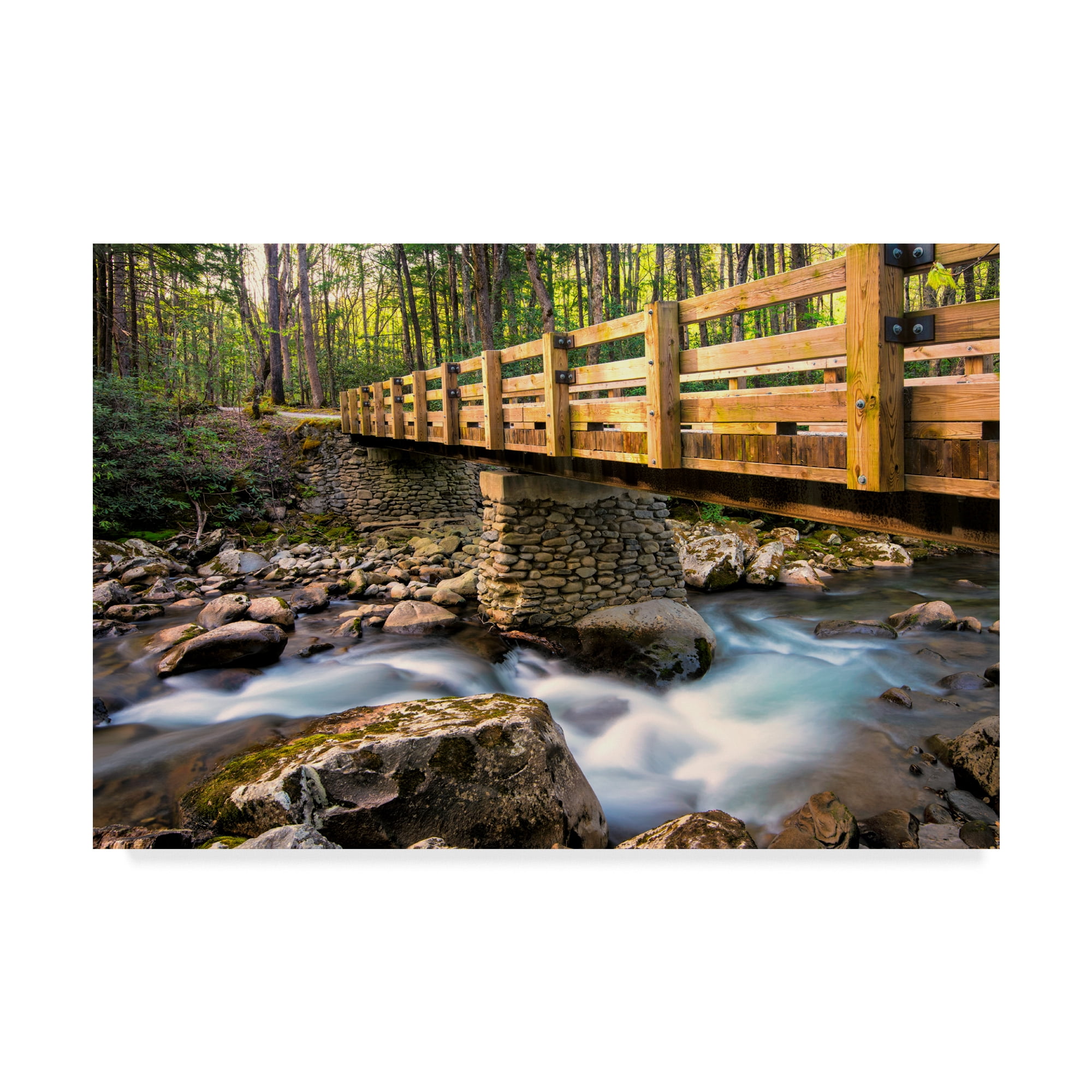Trademark Fine Art 'Bridge and Cascade II' Canvas Art by Danny Head