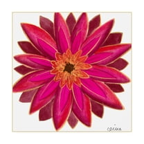 Trademark Fine Art 'Bright Blossoms III Childrens Art' Canvas Art by June Erica Vess