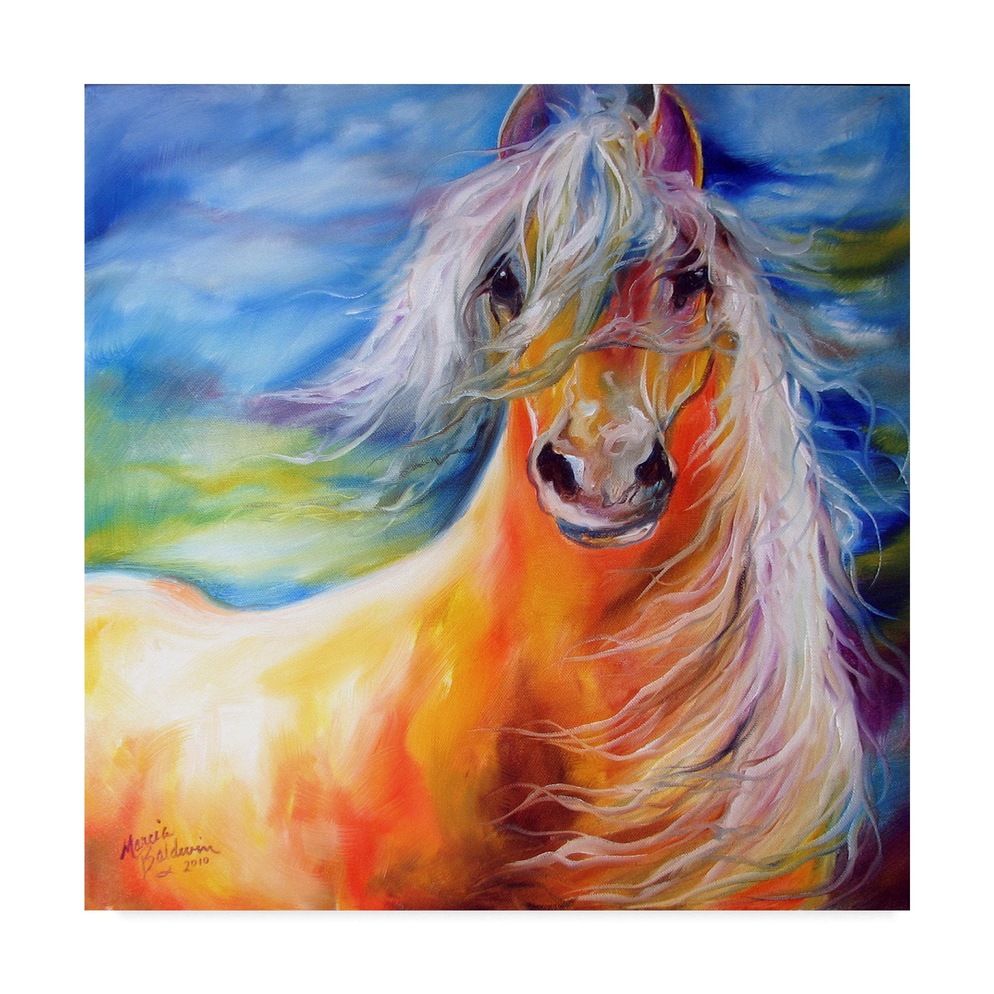 Trademark Fine Art 'Bright Day Equine' Canvas Art by Marcia Baldwin