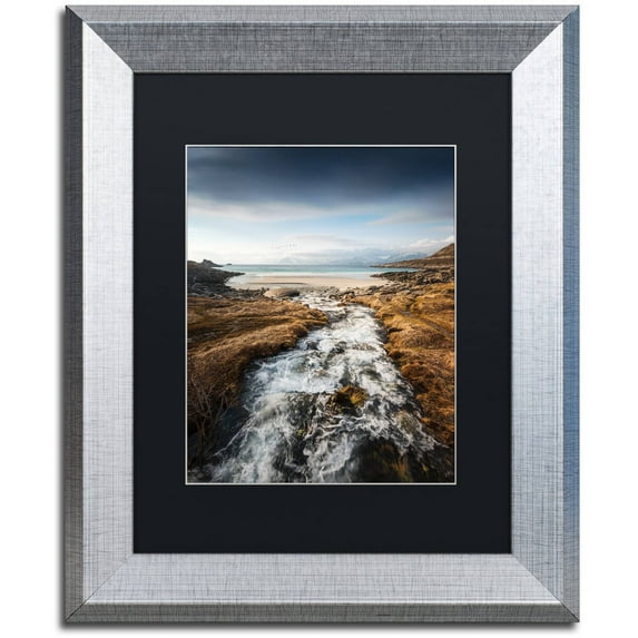Trademark Fine Art "Bright Eyes" Canvas Art by Philippe Sainte-Laudy, Black Matte, Silver Frame