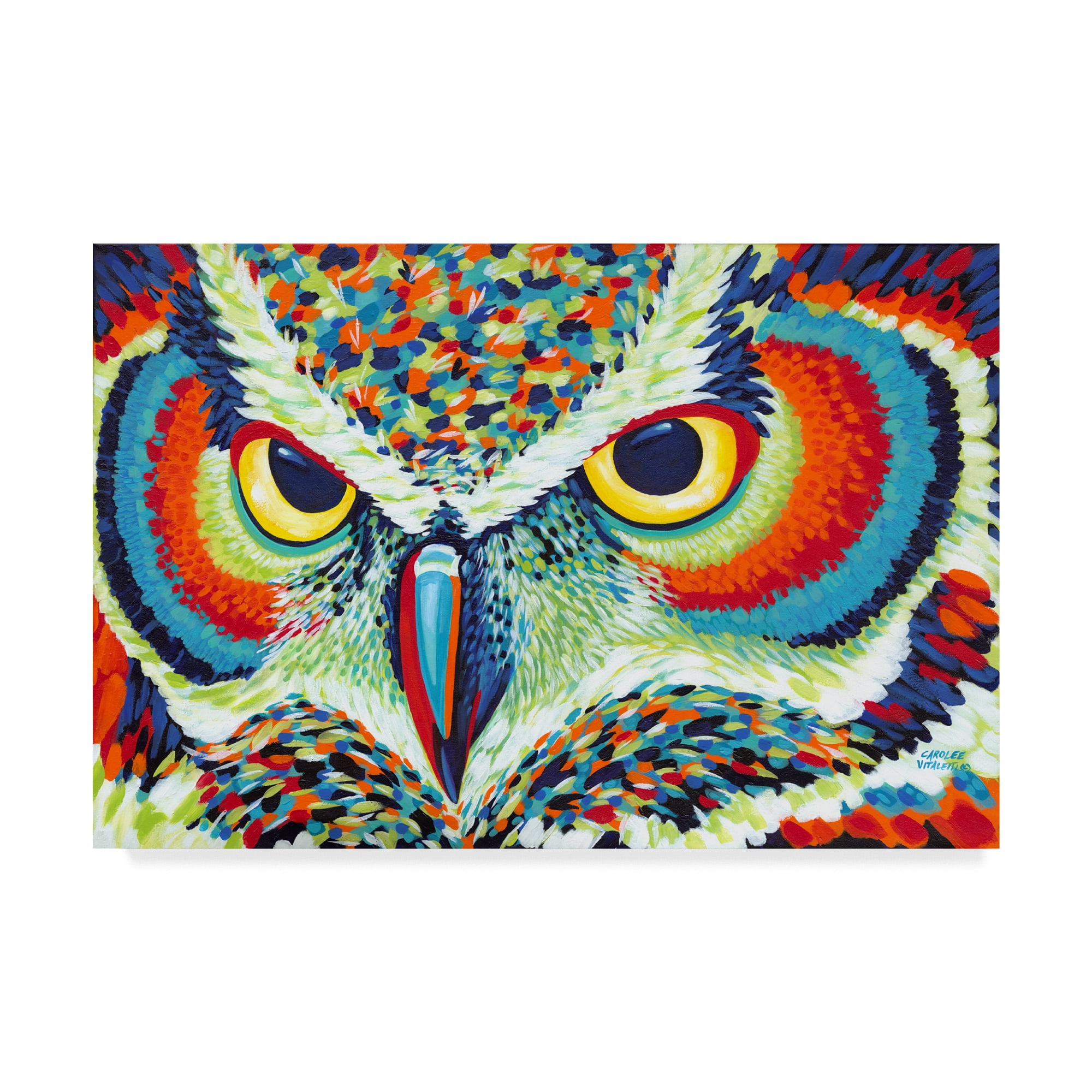 Trademark Fine Art 'Bright Eyes Owl' Canvas Art by Carolee Vitaletti