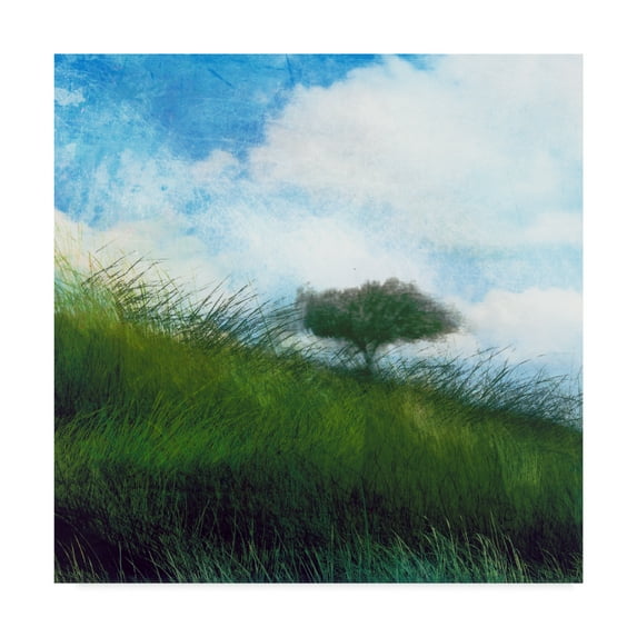 Trademark Fine Art 'Bright Field IV' Canvas Art by Ingrid Blixt