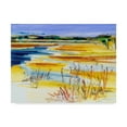 thumbnail image 1 of Trademark Fine Art 'Bright Marsh I' Canvas Art by Erin McGee Ferrell, 1 of 4