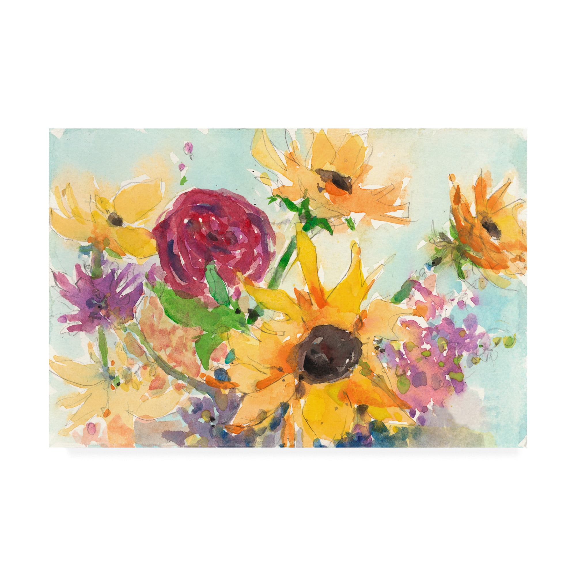 Trademark Fine Art 'Bright Wild Flowers II' Canvas Art by Samuel Dixon