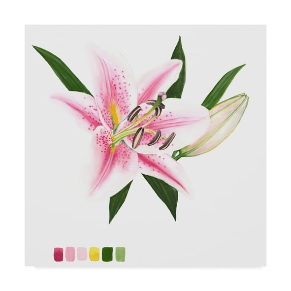 Trademark Fine Art 'Brighton Blooms II' Canvas Art by Naomi McCavitt