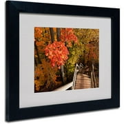 Trademark Fine Art "Brilliant Autumn Stairway" Canvas Art by Kurt Shaffer, Black Frame