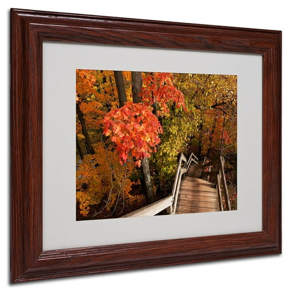 Trademark Fine Art "Brilliant Autumn Stairway" Canvas Art by Kurt Shaffer, Wood Frame
